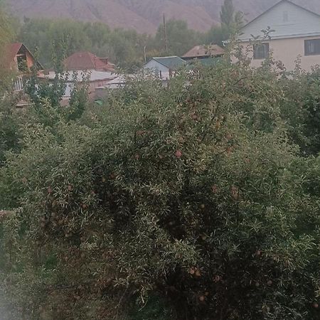 "Kamchybek Ata" Guest House B&B Tert-Kul' Exterior photo