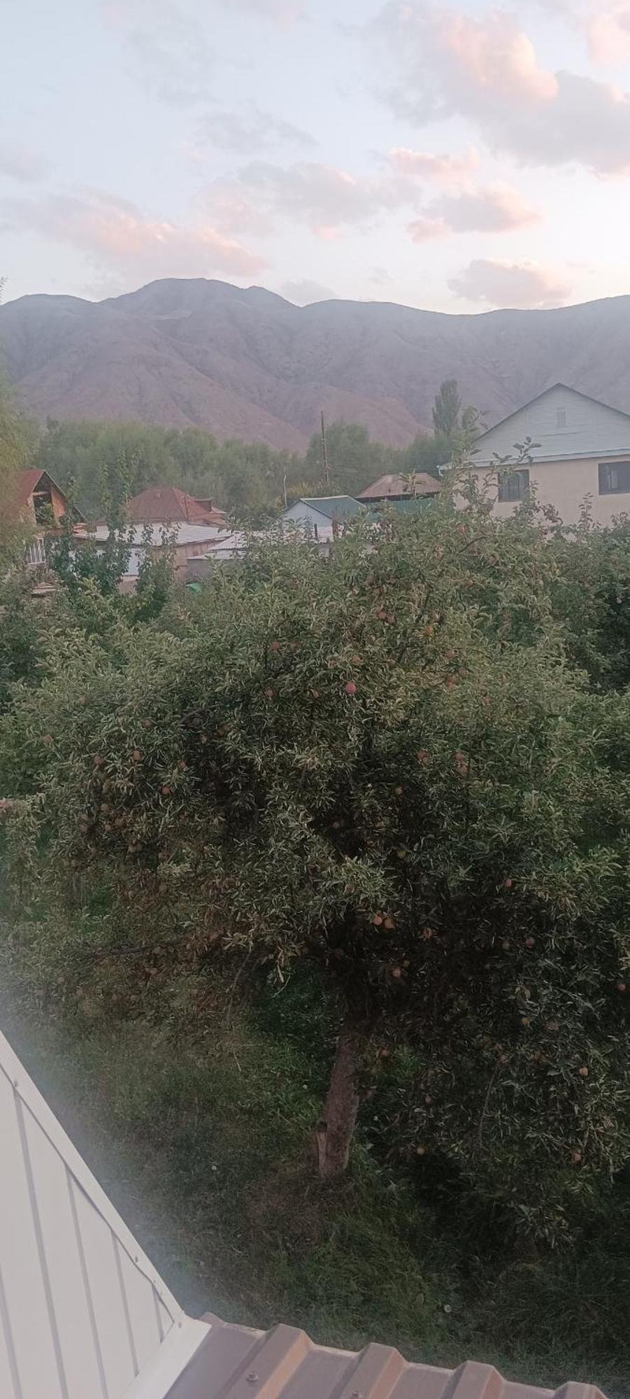 "Kamchybek Ata" Guest House B&B Tert-Kul' Exterior photo